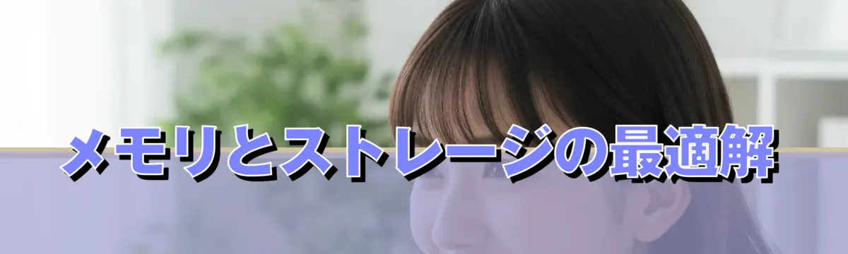 メモリとストレージの最適解